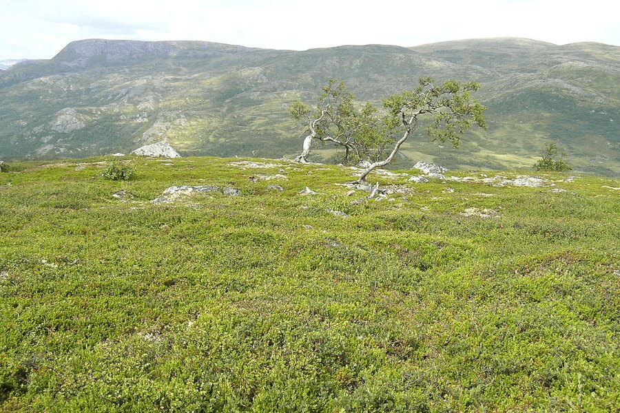 Hardangervidda, Norway