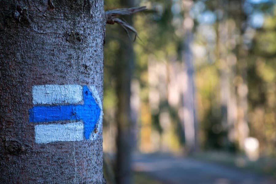 Modrá turistická značka na strome